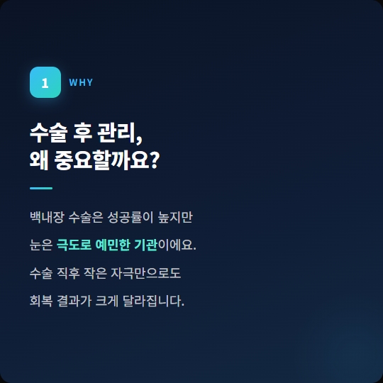 디자인 카드 예시